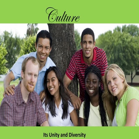 Culture 