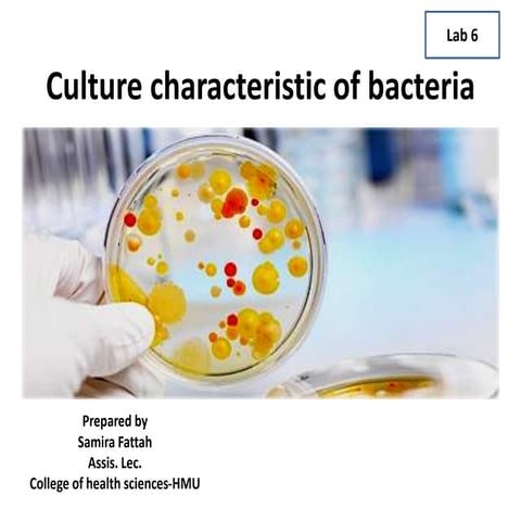 Culture characteristic of bacteria