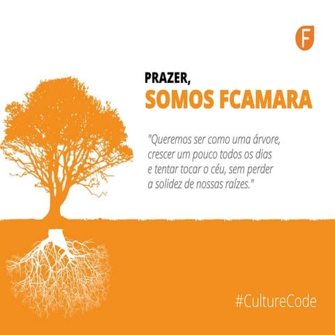 Culture Code