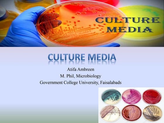Types of culture media | PPTX | Chemistry | Science