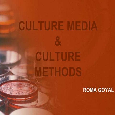 culture media