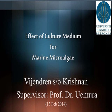 Effect of Culture Medium for Marine Microalgae