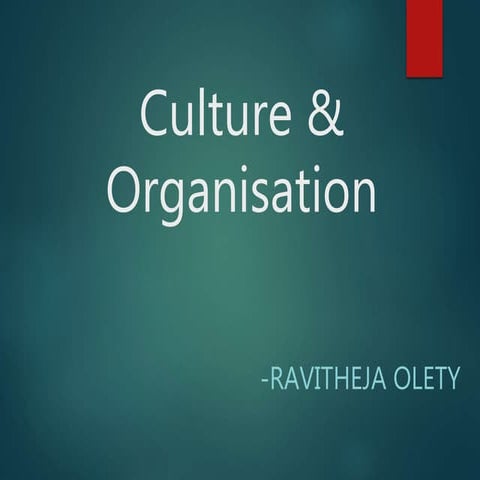 Culture & Organisation