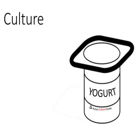 Why Culture is Important 