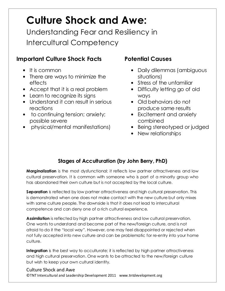 An Essay About Health Culture Shock And Awe Handout Examples Of A Thesis Statement For An Essay also High School Essays Examples Essay Culture Shock Iago Essays Culture Shock Essays Culture Shock Types Of English Essays