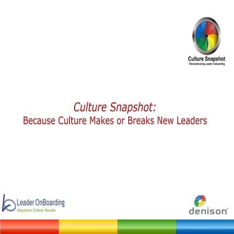 Denison Cultural Survey Overview For reference.ppt