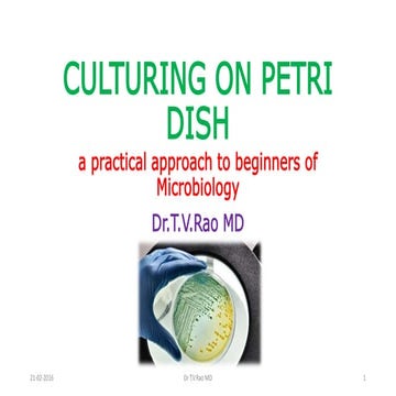 CULTURING ON PETRI DISH