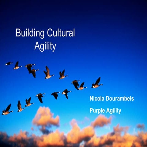 AgileCamp 2015: Cultural Agility, Nicola Dourambeis