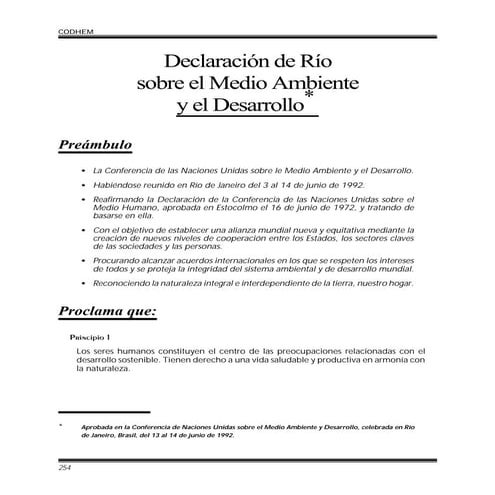 Principios de la Declaración de Río del año 1992