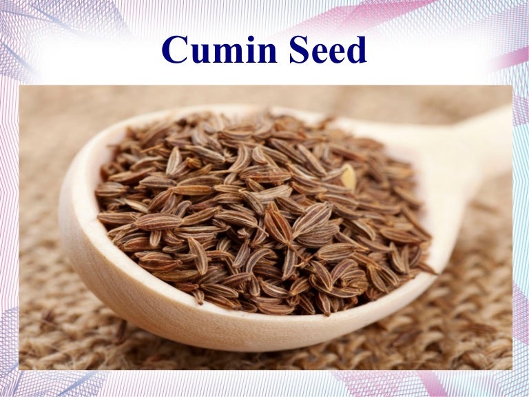 Cumin Seed Exporters in India