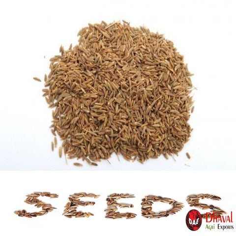 Natural cumin seeds exporters from India