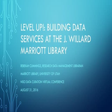 Cummings Level Up: Building Data Services