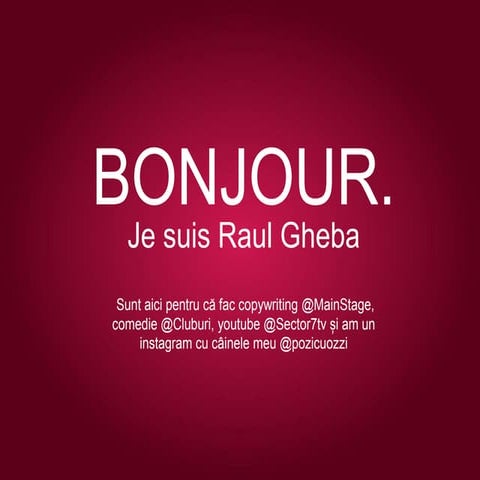 Biz Social Media Summer Camp 2019 - Raul Gheba