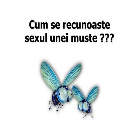 Cum Se Recunoaste