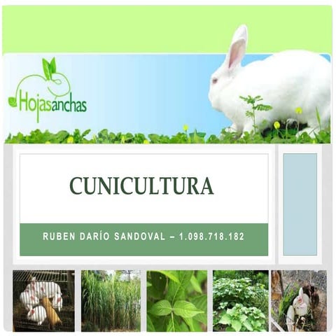 Cunicultura