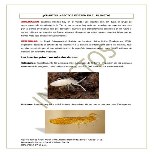 Cuántos insectos existen en el planeta(1)