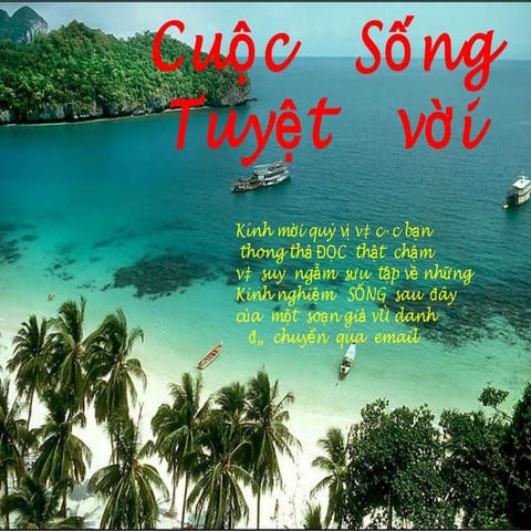 CUỘC SỐNG TUYỆT VỜI 