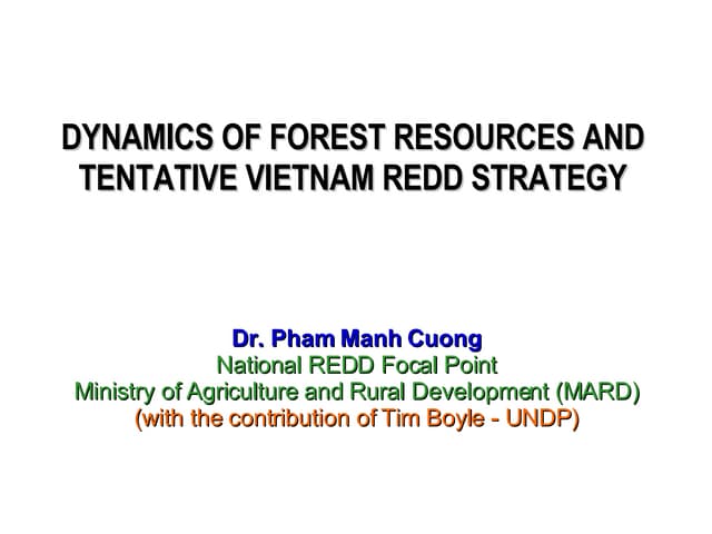 National REDD strategy Vietnam