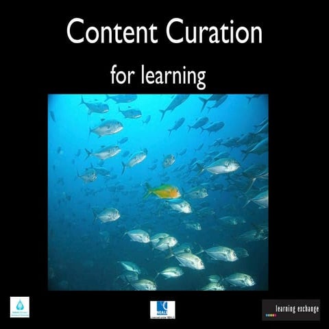 Curation for schools
