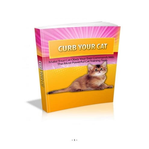 An in depth look at siamese cats