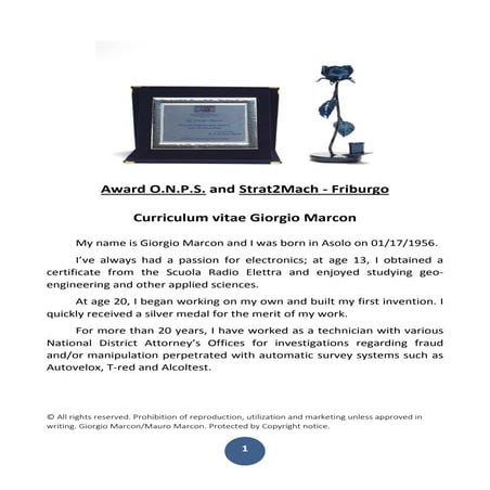 Curiculum giorgio  in ok