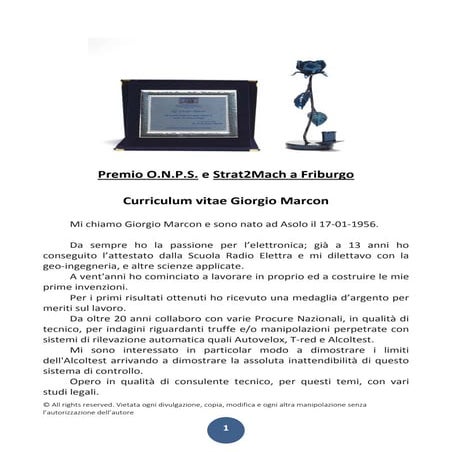 Curiculum giorgio  it ok