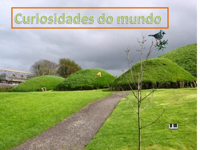 Curiosidades do mundo