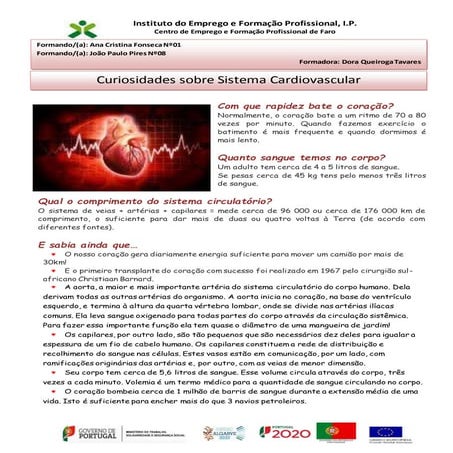 Curiosidades sistema cardio vascular
