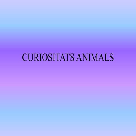 Curiositats animals