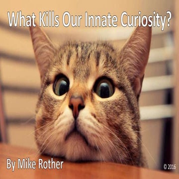 What Kills Our Curiosity?