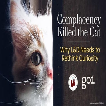 Complacency Killed the Cat: Why L&D Needs to Rethink Curiosity