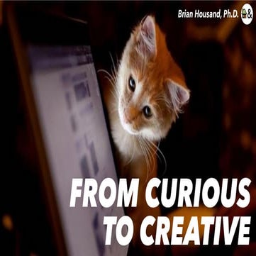 Curious to Creative | Rutgers 2019