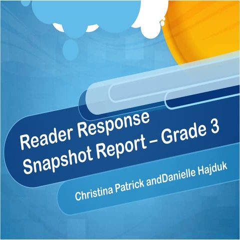 Curr 488 snapshot report