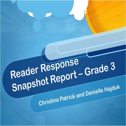 Curr 488 snapshot report