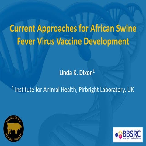 Current approaches for African swine fever virus vaccine development