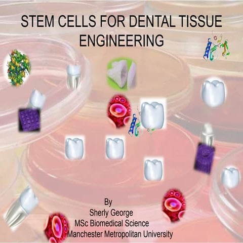 Stem cells for dental tissue engineering