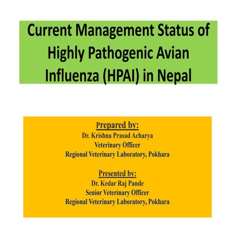 Current management status of highly pathogeni8c avian influenza (hpai ...