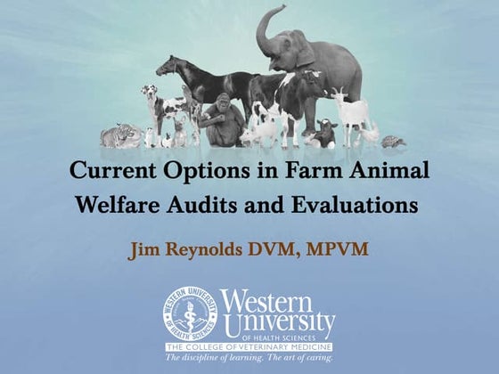 Current Options in Farm Animal Welfare Audits - Jim Reynolds
