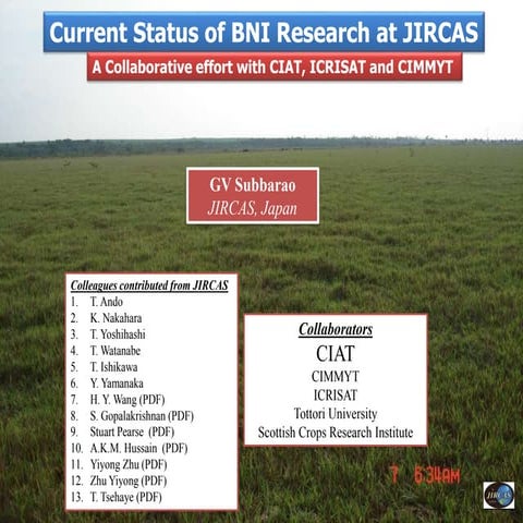 Current Status of BNI Research at JIRCAS
