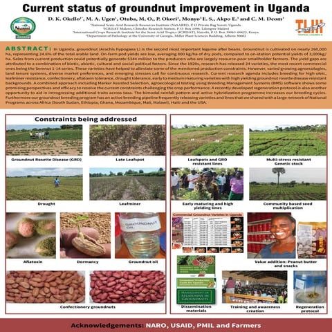 Current status of groundnut improvement in uganda