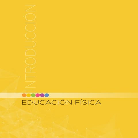 Curriculo de-educación-física