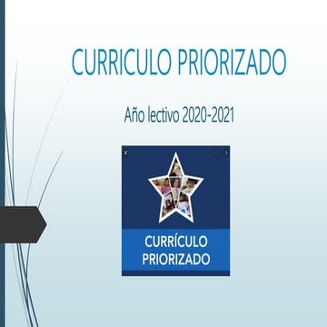 Curriculo priorizado 