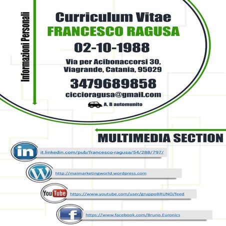 Curriculum Vitae
