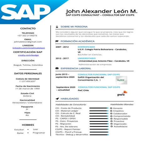 CV Javier Roche | PDF