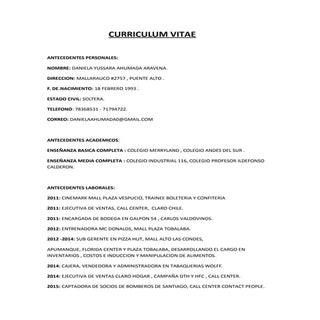 Curriculum actualizado daniela