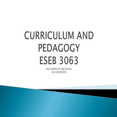 Curriculum and pedagogy theory