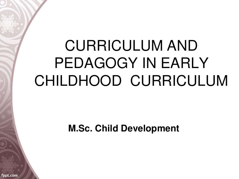 Curriculum and pedagogy in early childhood curriculum