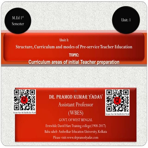 Curriculum areas of initial teacher preparation.pdf