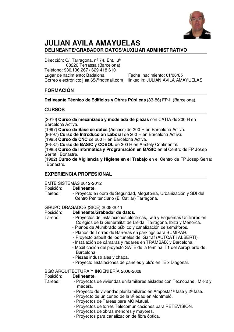 Curriculum delineante