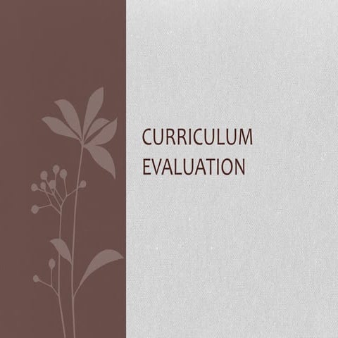 Curriculum evaluation (1)